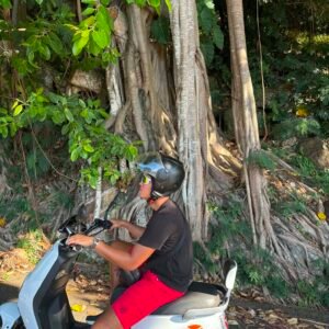Scooter Electrique à la journée