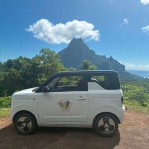 Geely Géometry O électrique